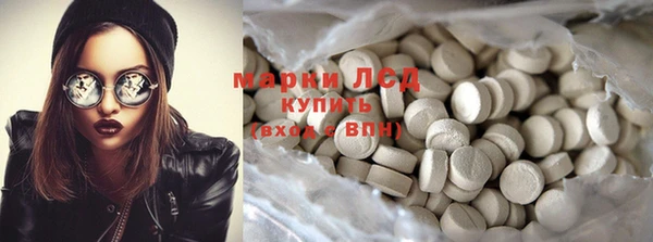 твердый Магас