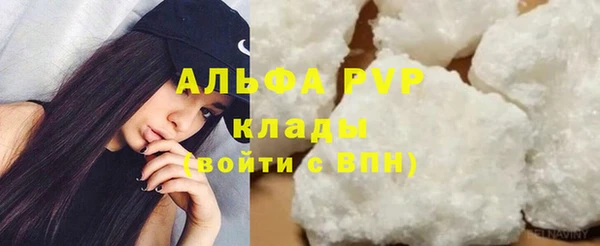 твердый Магас