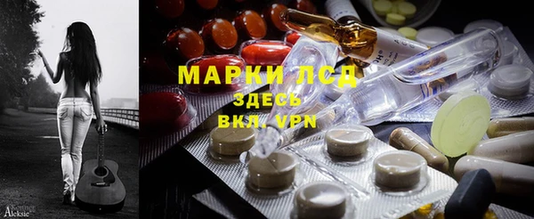 твердый Магас
