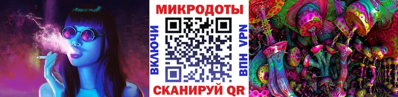 Галлюциногенные грибы Cubensis  Камышлов 