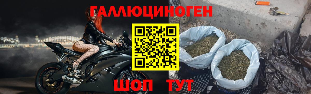 Псилоцибиновые грибы GOLDEN TEACHER  Вход с VPN  Камышлов 