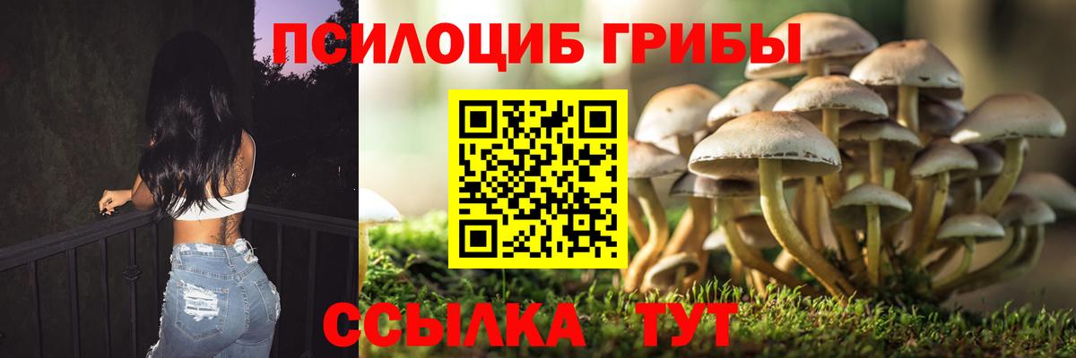Псилоцибиновые грибы ЛСД Камышлов